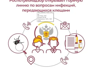 С 27 апреля по 10 мая Роспотребнадзор проведет Всероссийскую горячую линию по вопросам профилактики клещевого вирусного энцефалита (КВЭ) и других инфекций, передающихся клещами.