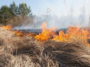 Администрация Дивеевского м.о. напоминает о строгом запрете на выжигание сухой прошлогодней травы и растительности