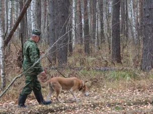 Сезон охоты