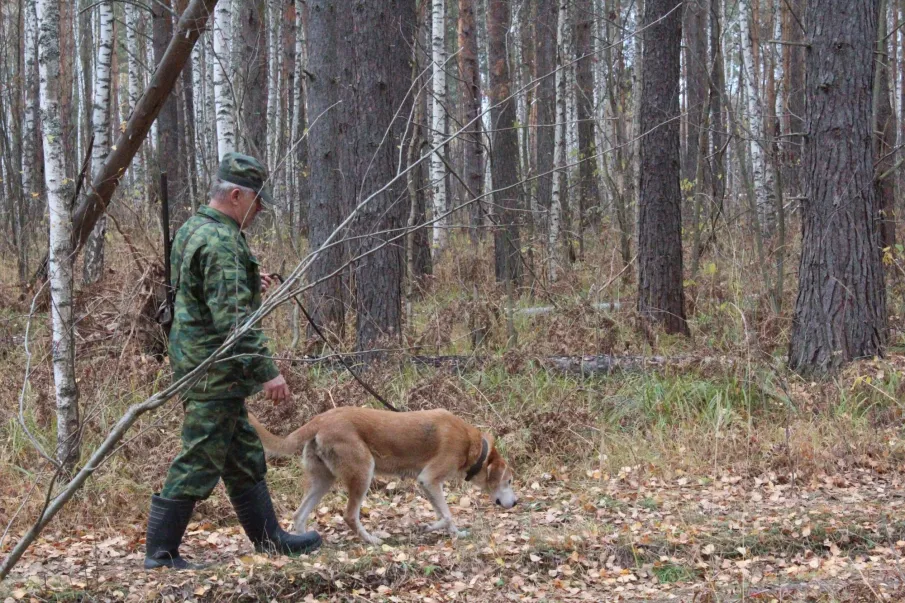 Сезон охоты