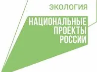В Нижегородской области провели компенсационное лесовосстановление на площади 700,6 га в зачет других регионов России