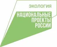 В Нижегородской области провели компенсационное лесовосстановление на площади 700,6 га в зачет других регионов России