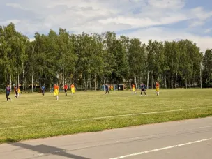 Итоги первенства по футболу Нижегородской области после 8 тура